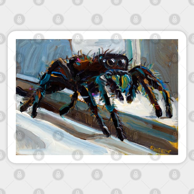 Psychedelic Jumping Spider by Robert Phelps Sticker by RobertPhelpsArt